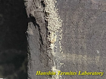 2025�N12���x�g�b�v�y�[�W�摜