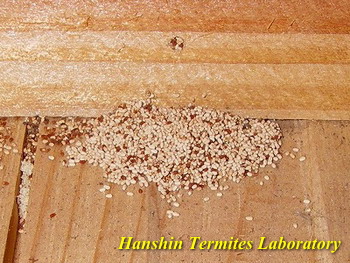 2026�N2���x�g�b�v�y�[�W�摜